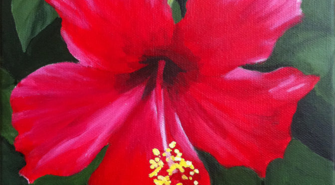 Hibiscus Rouge 3