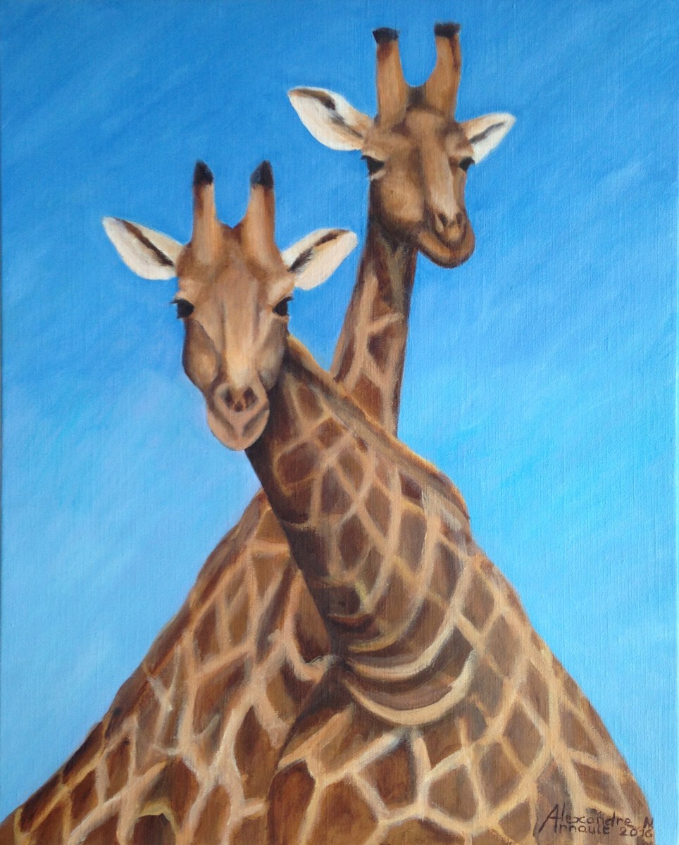 Girafes