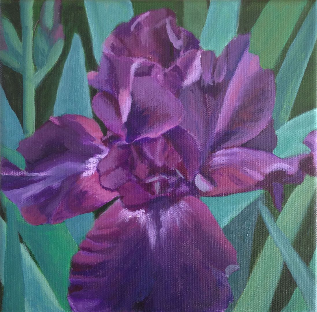 Iris Violet