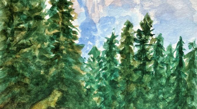 Randonnée en montagne