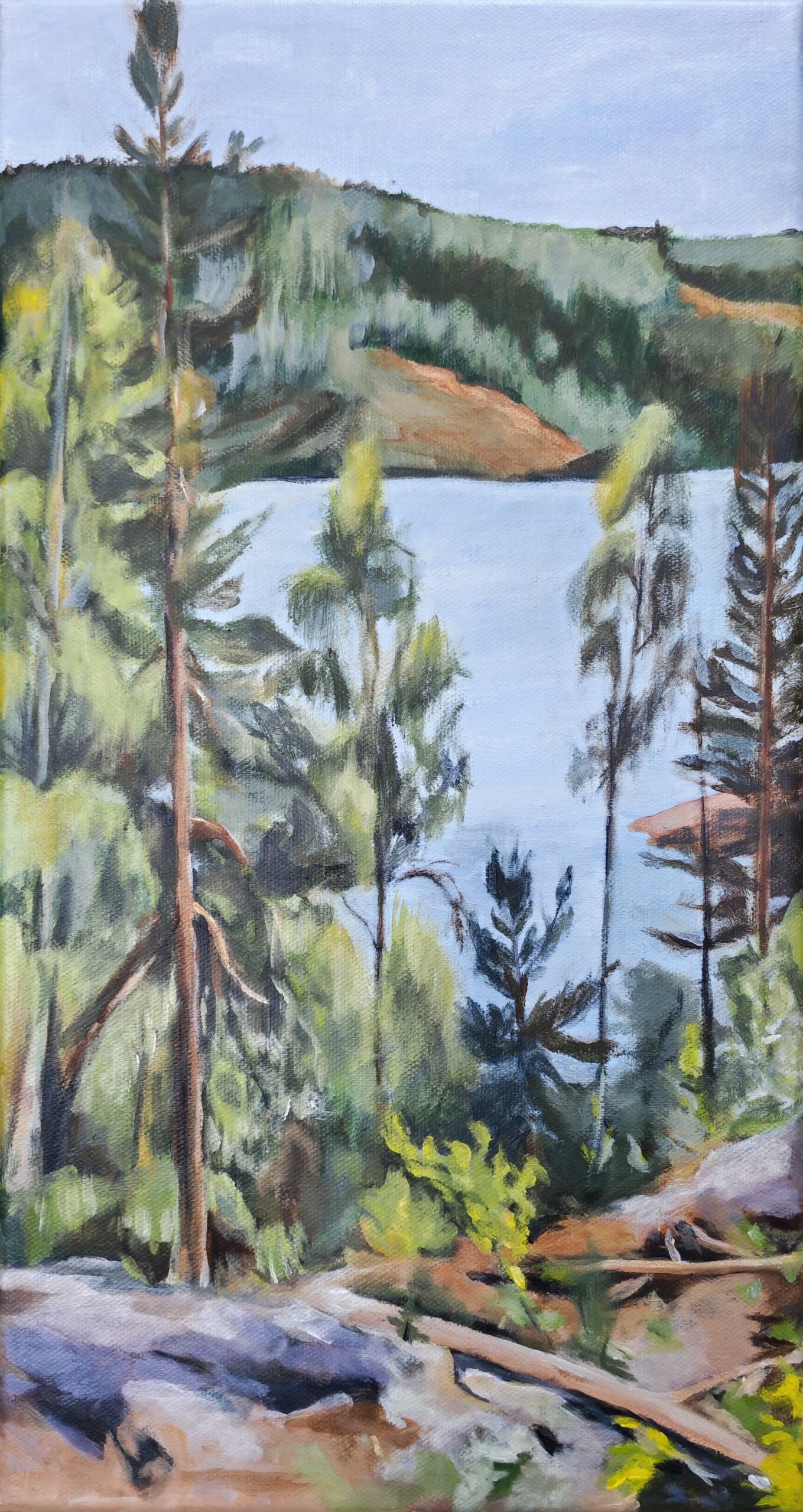 Vue sur le lac (d'après Pekka Halonen)
