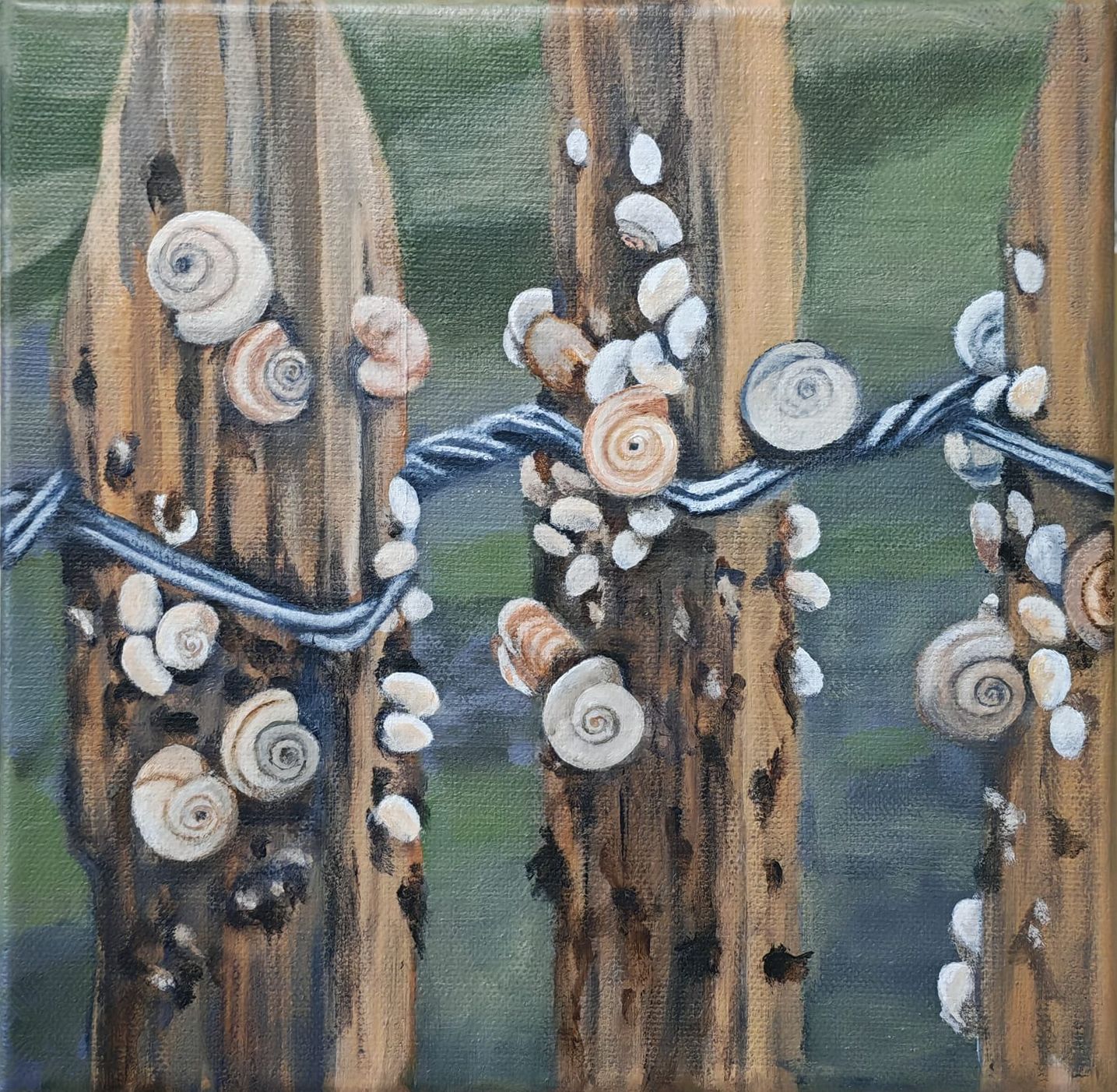 Escargots à la plage